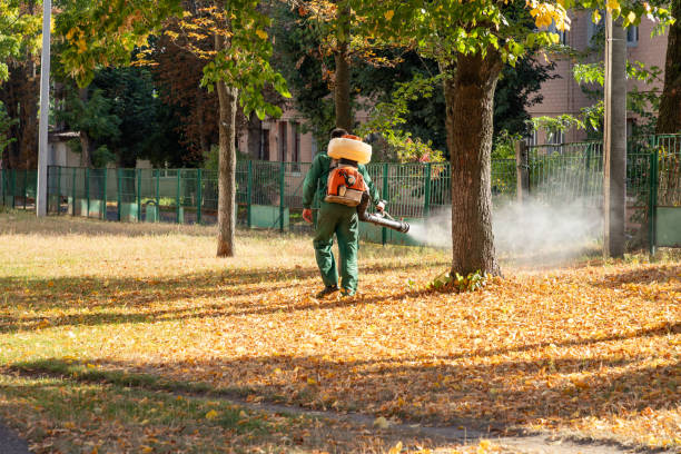 Pest Control for Restaurants in San Fernando, CA